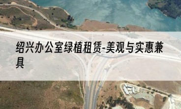 绍兴办公室绿植租赁-美观与实惠兼具