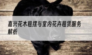 嘉兴花木租摆与室内花卉租赁服务解析