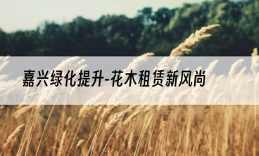 嘉兴绿化提升-花木租赁新风尚