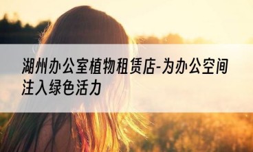 湖州办公室植物租赁店-为办公空间注入绿色活力