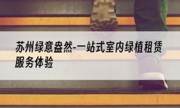 苏州绿意盎然-一站式室内绿植租赁服务体验