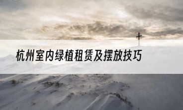 杭州室内绿植租赁及摆放技巧