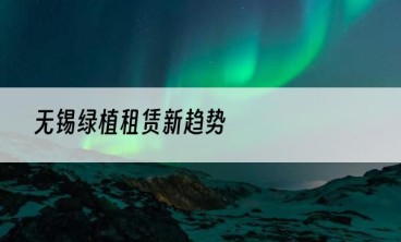 无锡绿植租赁新趋势