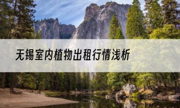 无锡室内植物出租行情浅析