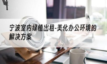 宁波室内绿植出租-美化办公环境的解决方案