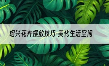 绍兴花卉摆放技巧-美化生活空间