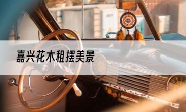 嘉兴花木租摆美景