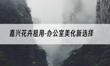 嘉兴花卉租用-办公室美化新选择