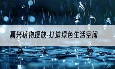 嘉兴植物摆放-打造绿色生活空间