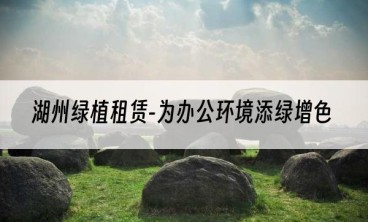 湖州绿植租赁-为办公环境添绿增色