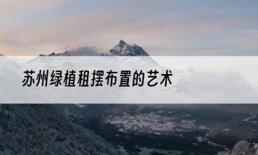 苏州绿植租摆布置的艺术