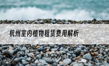 杭州室内植物租赁费用解析