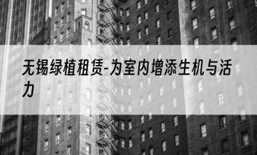 无锡绿植租赁-为室内增添生机与活力