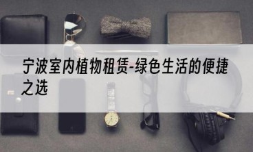 宁波室内植物租赁-绿色生活的便捷之选
