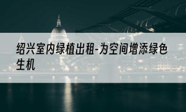 绍兴室内绿植出租-为空间增添绿色生机