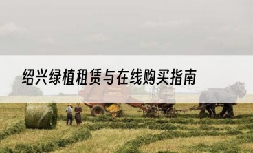 绍兴绿植租赁与在线购买指南