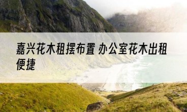 嘉兴花木租摆布置 办公室花木出租便捷