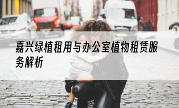 嘉兴绿植租用与办公室植物租赁服务解析