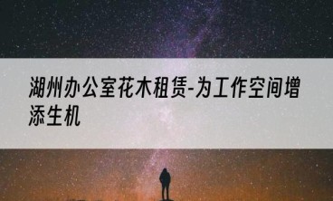 湖州办公室花木租赁-为工作空间增添生机