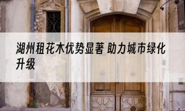 湖州租花木优势显著 助力城市绿化升级