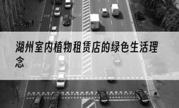 湖州室内植物租赁店的绿色生活理念