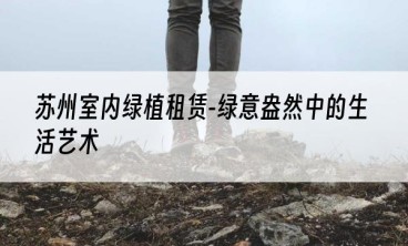 苏州室内绿植租赁-绿意盎然中的生活艺术