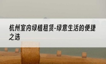 杭州室内绿植租赁-绿意生活的便捷之选