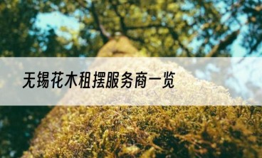 无锡花木租摆服务商一览
