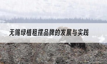 无锡绿植租摆品牌的发展与实践