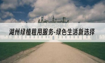 湖州绿植租用服务-绿色生活新选择