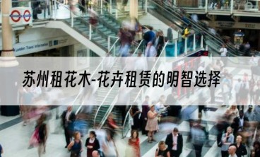 苏州租花木-花卉租赁的明智选择