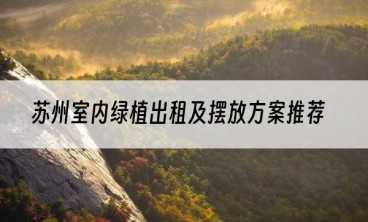 苏州室内绿植出租及摆放方案推荐