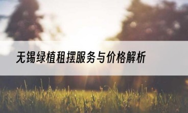 无锡绿植租摆服务与价格解析