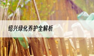 绍兴绿化养护全解析