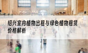 绍兴室内植物出租与绿色植物租赁价格解析