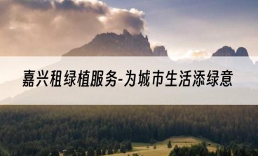嘉兴租绿植服务-为城市生活添绿意