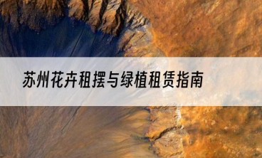 苏州花卉租摆与绿植租赁指南