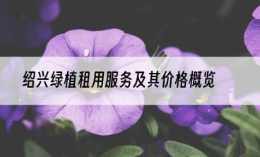 绍兴绿植租用服务及其价格概览