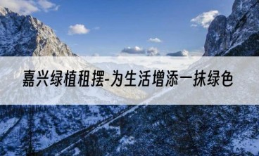 嘉兴绿植租摆-为生活增添一抹绿色