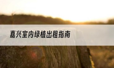 嘉兴室内绿植出租指南