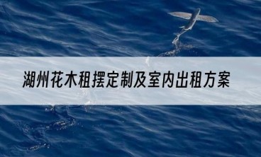 湖州花木租摆定制及室内出租方案
