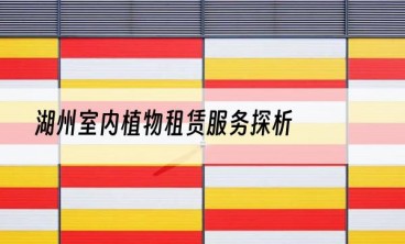 湖州室内植物租赁服务探析