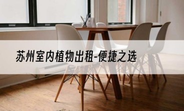 苏州室内植物出租-便捷之选