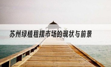 苏州绿植租摆市场的现状与前景