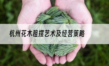 杭州花木租摆艺术及经营策略