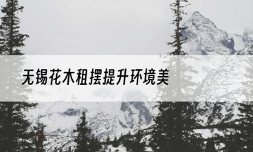 无锡花木租摆提升环境美