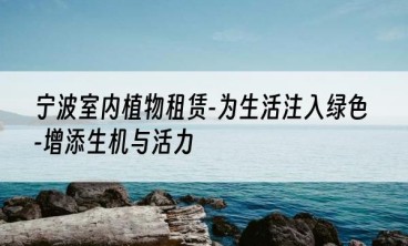 宁波室内植物租赁-为生活注入绿色-增添生机与活力