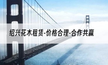 绍兴花木租赁-价格合理-合作共赢