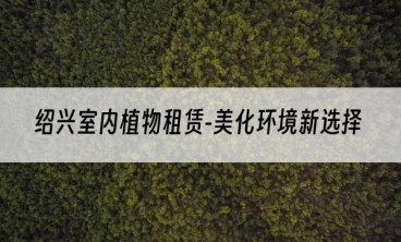 绍兴室内植物租赁-美化环境新选择