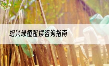 绍兴绿植租摆咨询指南